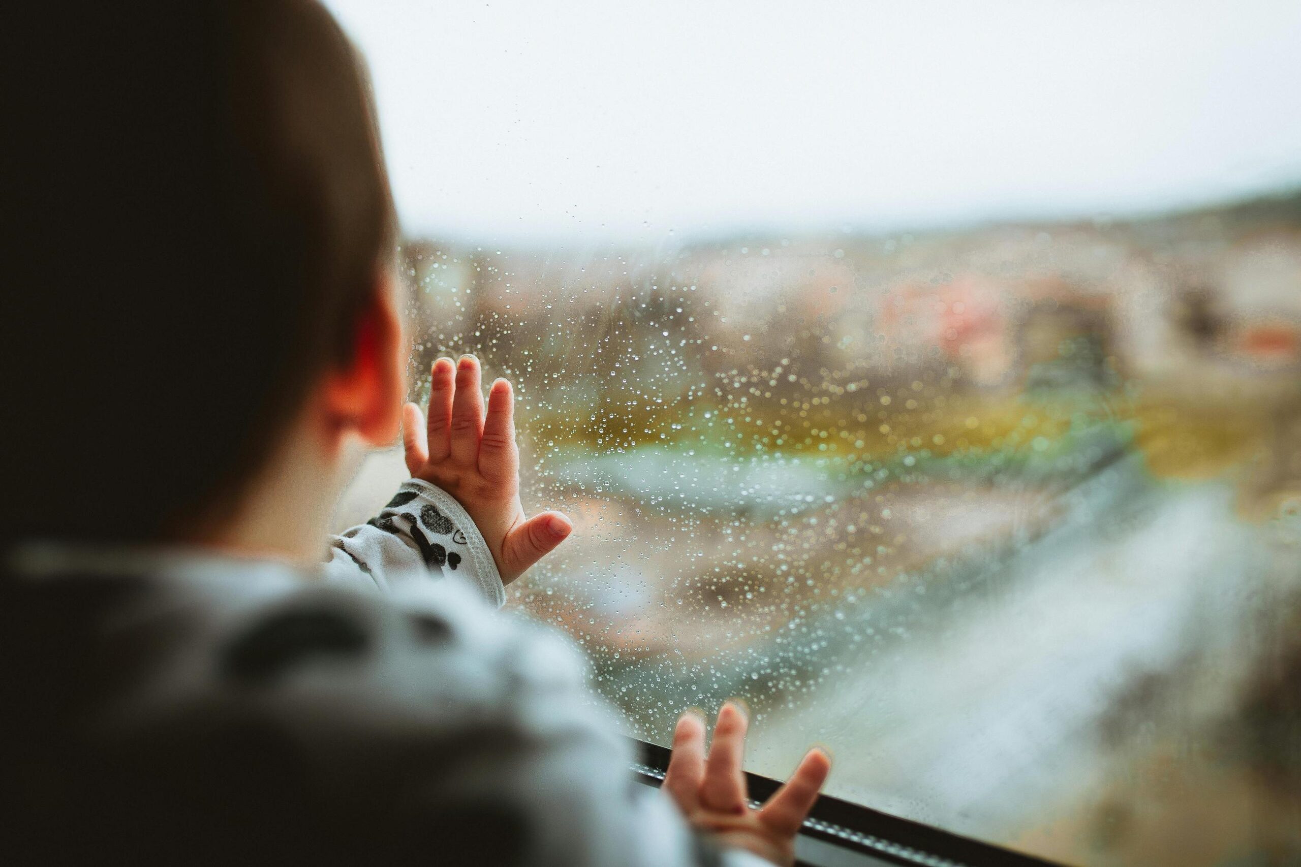 window installers reno (1)